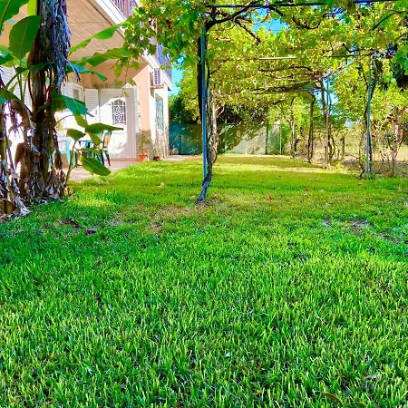 House,with Big Garden & Lawn * Amaliada