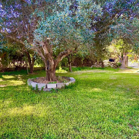 Apartment House,with Big Garden & Lawn *