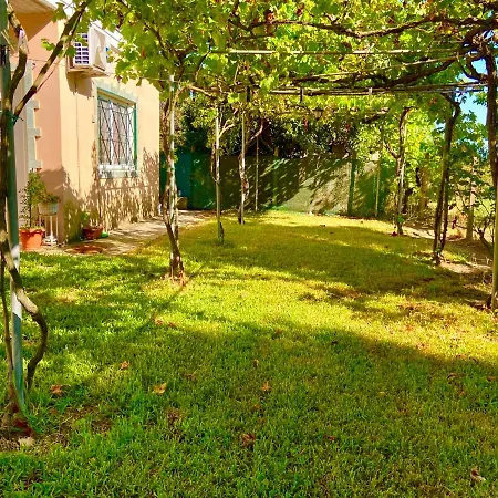House,with Big Garden & Lawn Apartment *