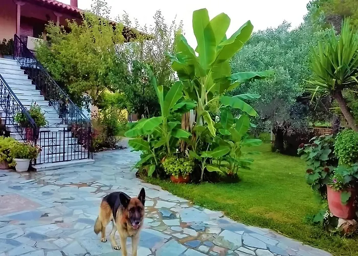 House Apartman Amaliada